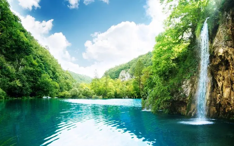 独特独特先进